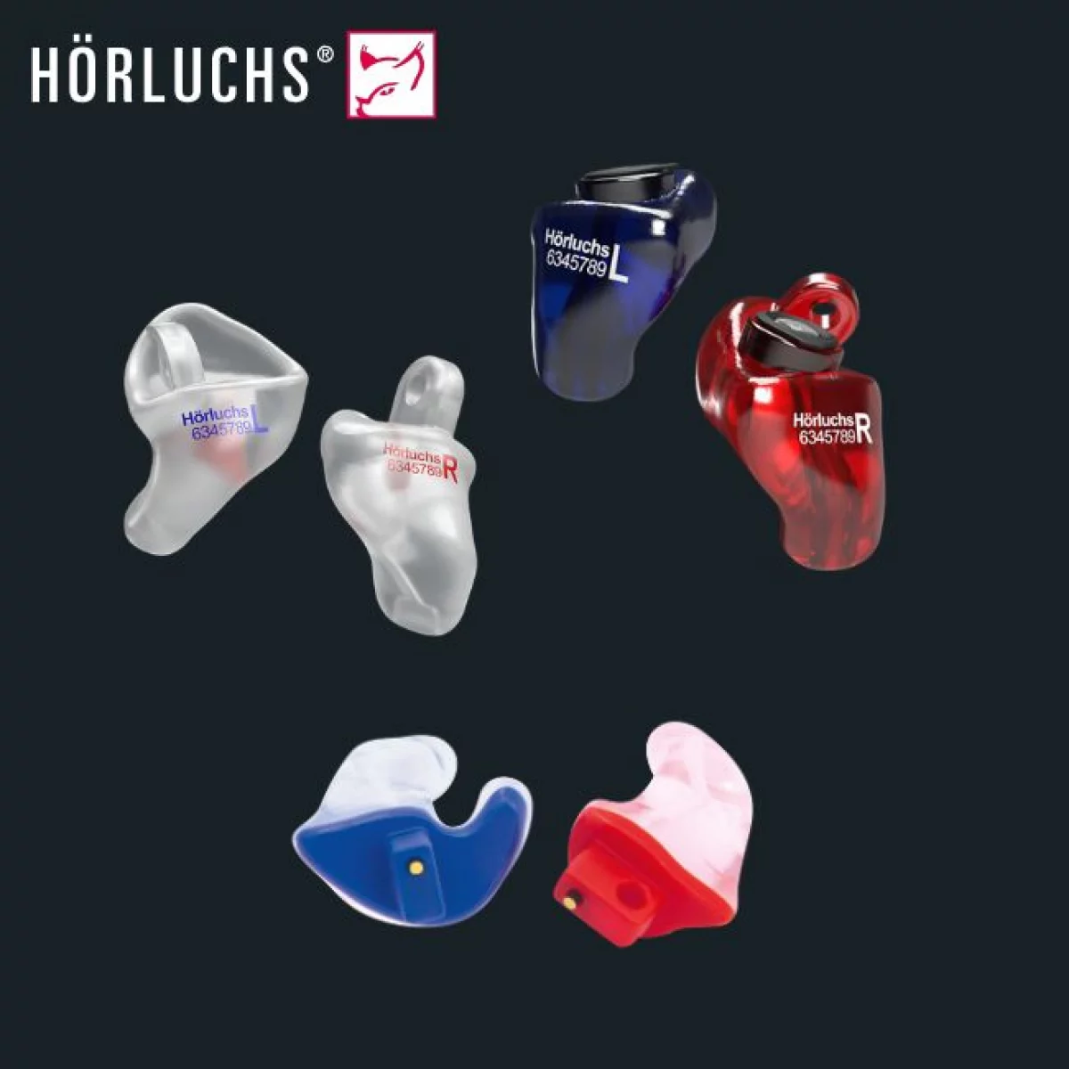 Hörluchs-Gehör