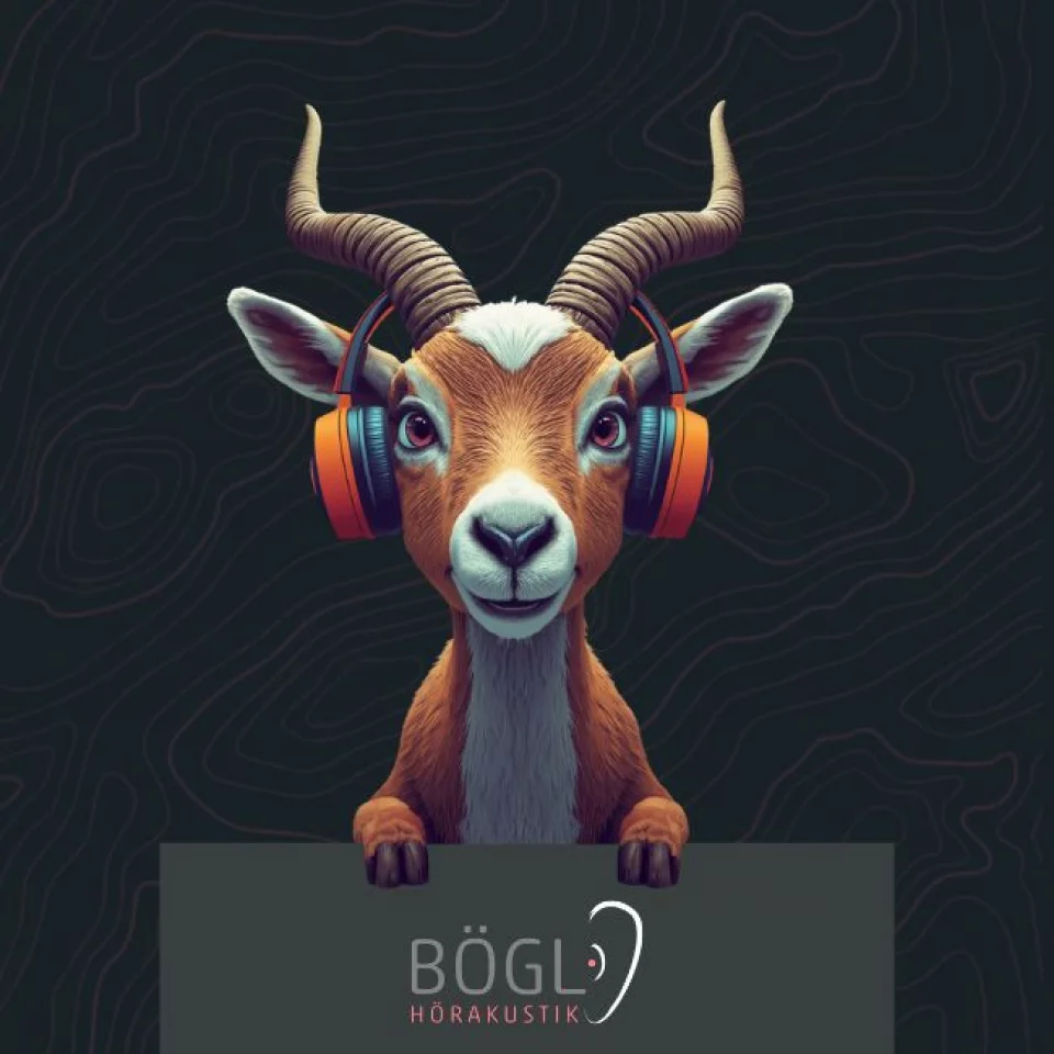 Hörtest-Bögl